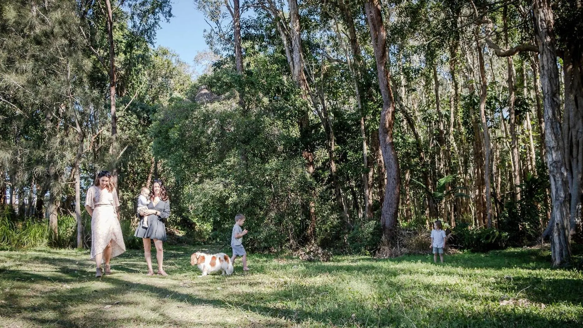 Holiday home Coolum Family Hideaway With Pool, Sauna & Ice Bath Coolum Beach Australia